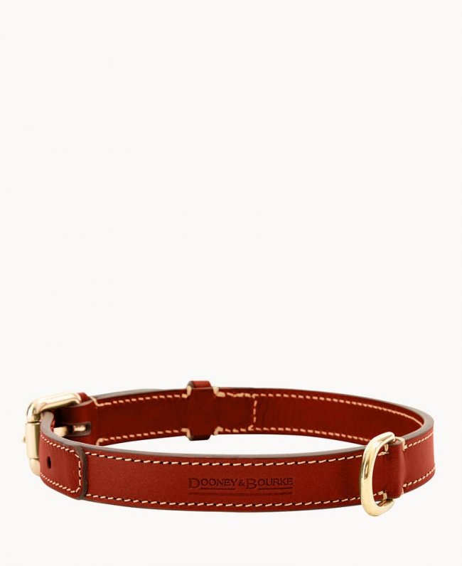 Dooney Dog Collar Black ID-ucoSI52r Dooney Dog Collar Black ID-ucoSI52r